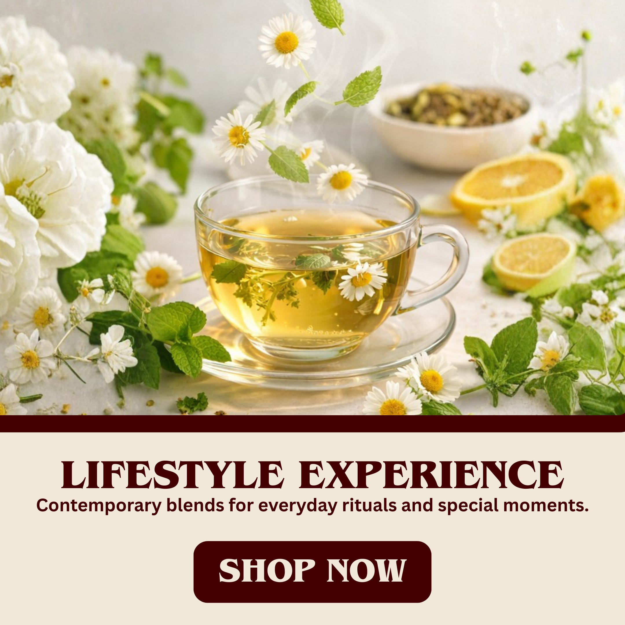 Lifestyle Experience