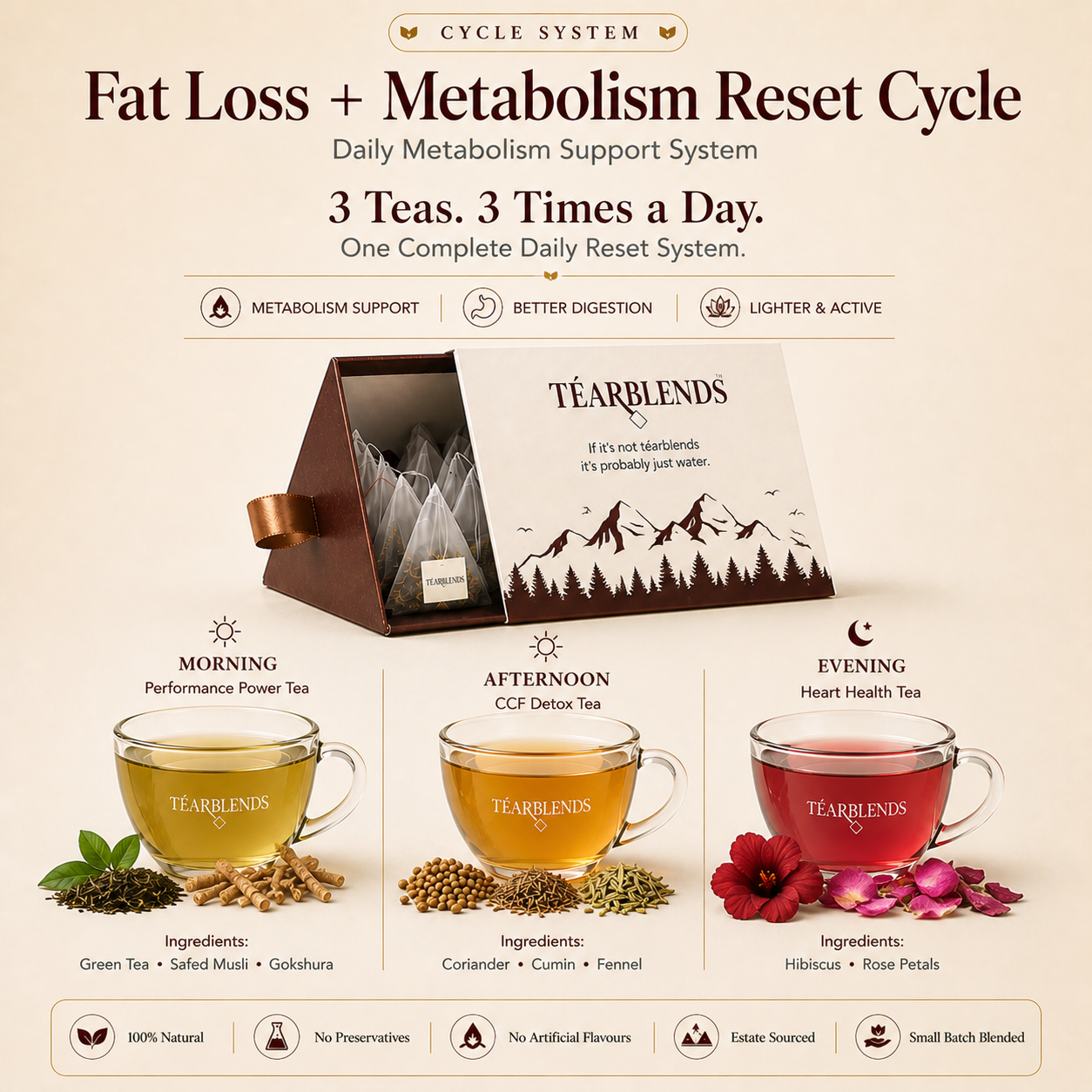 Fat Loss + Metabolism Reset (BESTSELLER)