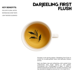Darjeeling First Flush – 25 Cups