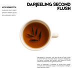 Darjeeling Second Flush – 25 Cups