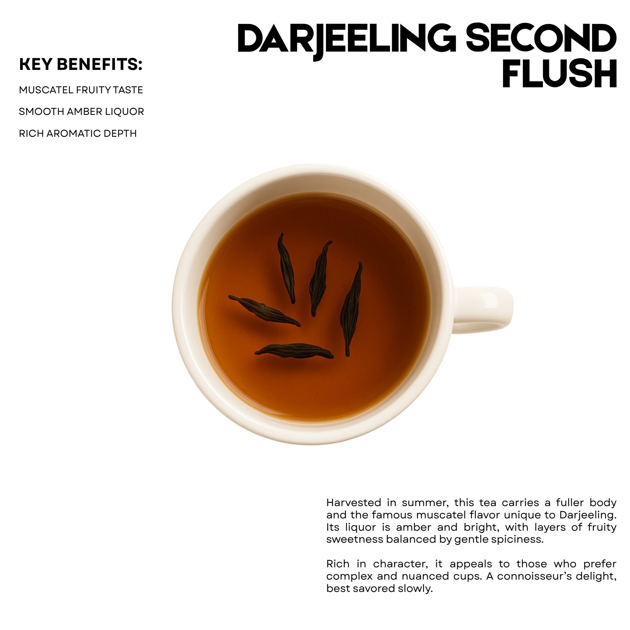 Darjeeling Second Flush – 25 Cups