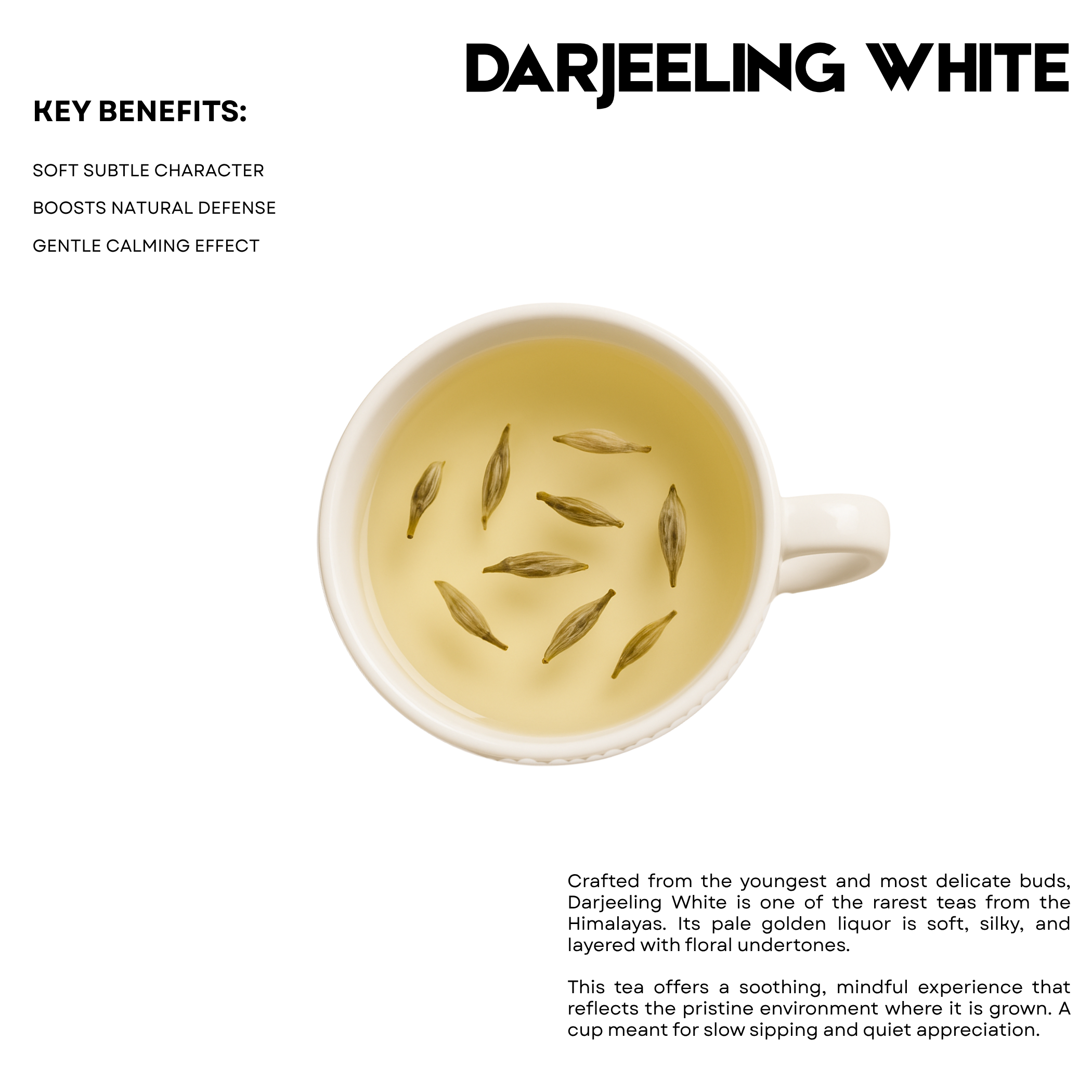 Darjeeling White – 25 Cups