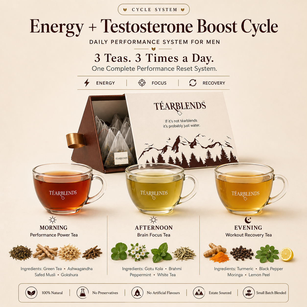 Energy + Testosterone Boost Cycle
