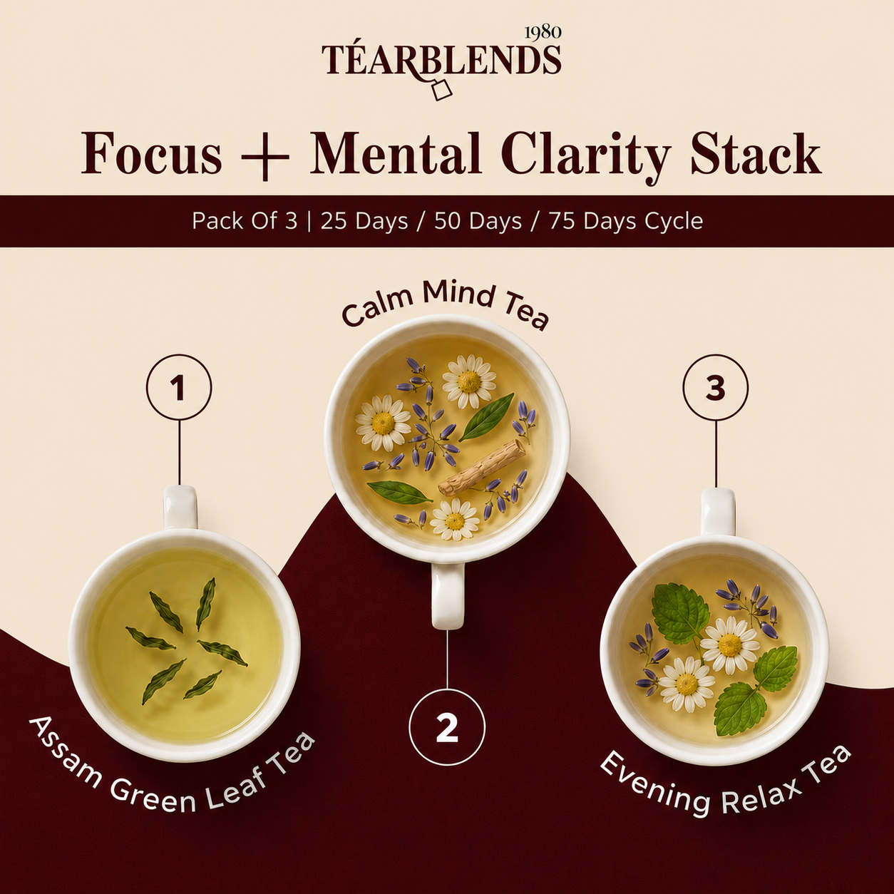 Focus + Mental Clarity Stack-Product Image