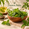 Lemon balm