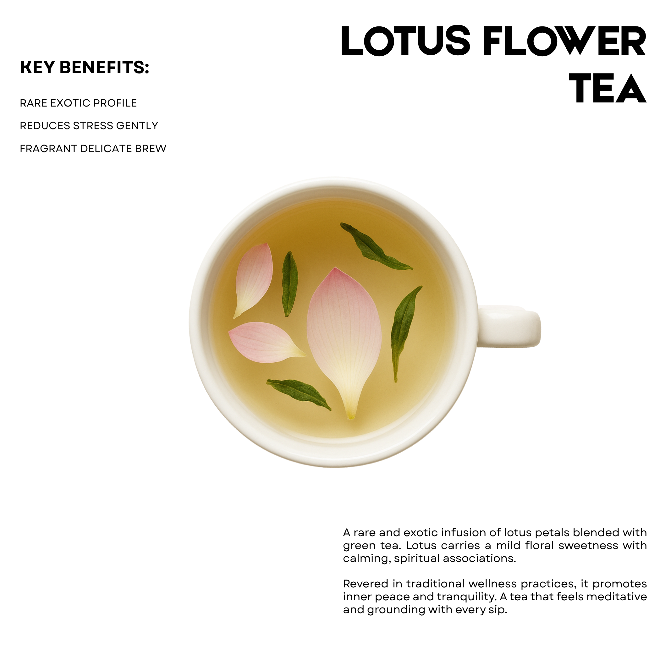 Lotus Flower Tea – 25 Cups