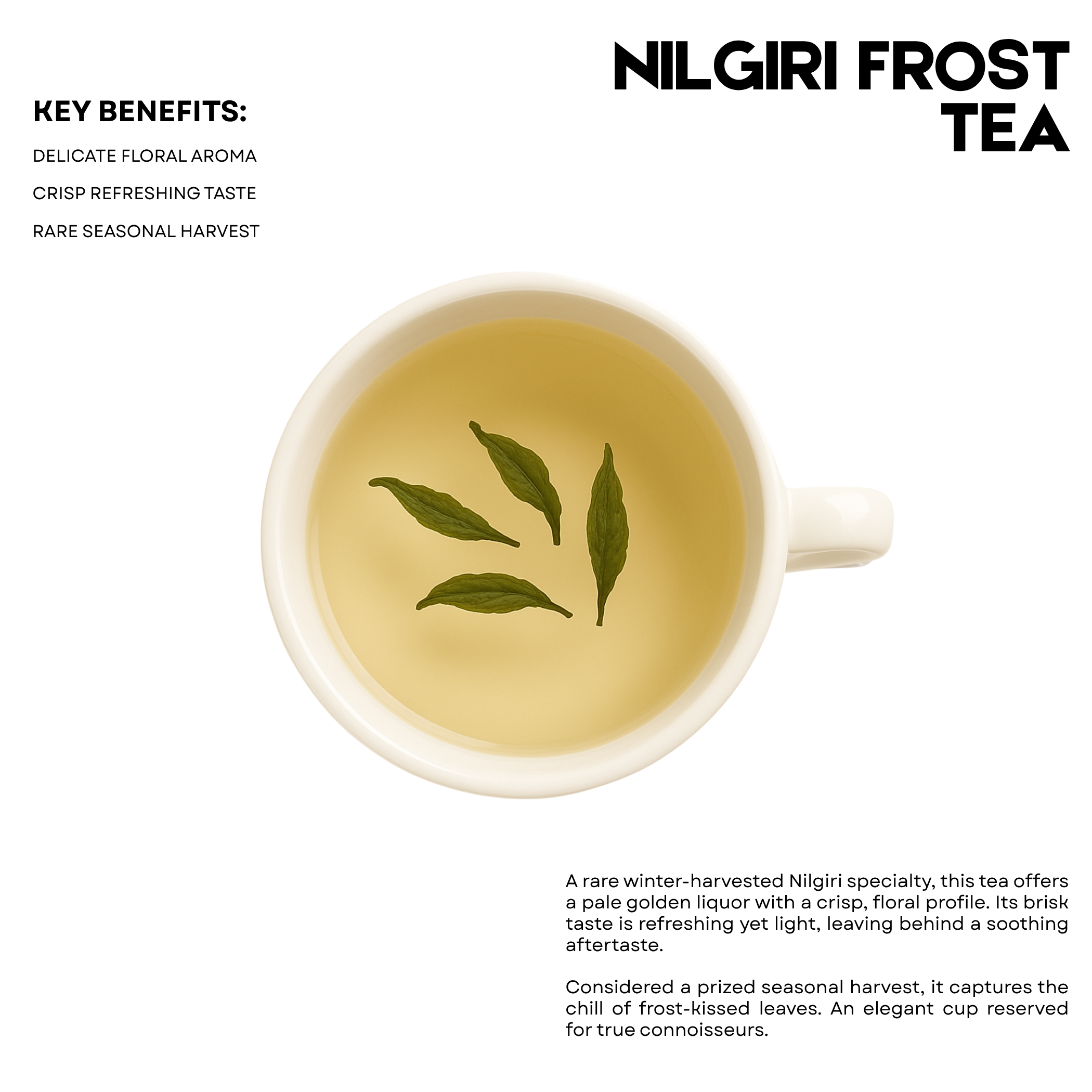 Nilgiri Frost Tea – 25 Cups