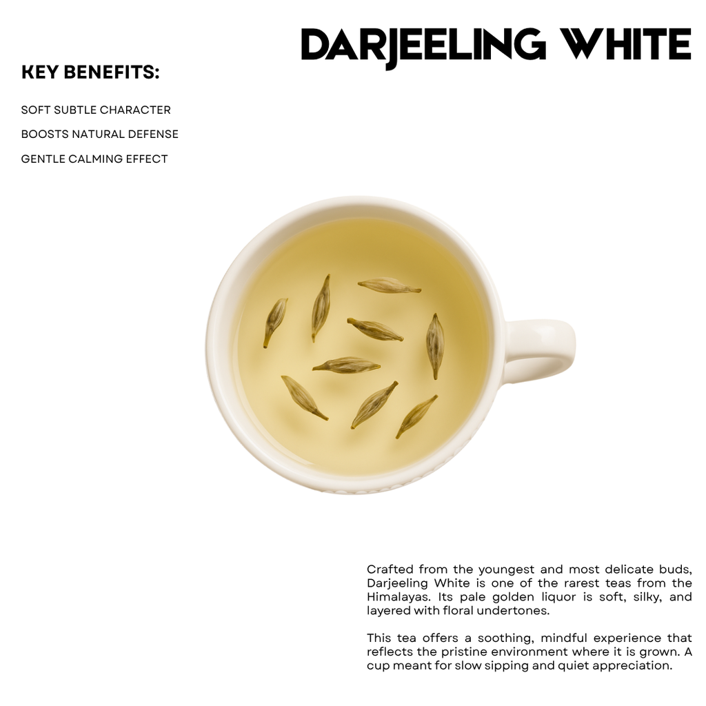 Darjeeling White