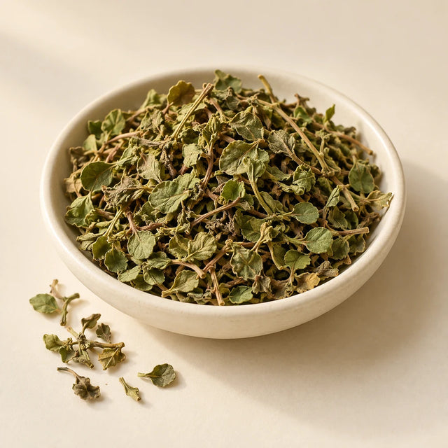 Brahmi raw ingredient — illustrative catalogue image