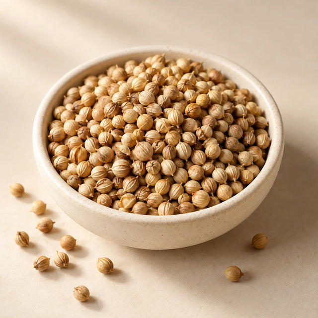Coriander raw ingredient — illustrative catalogue image