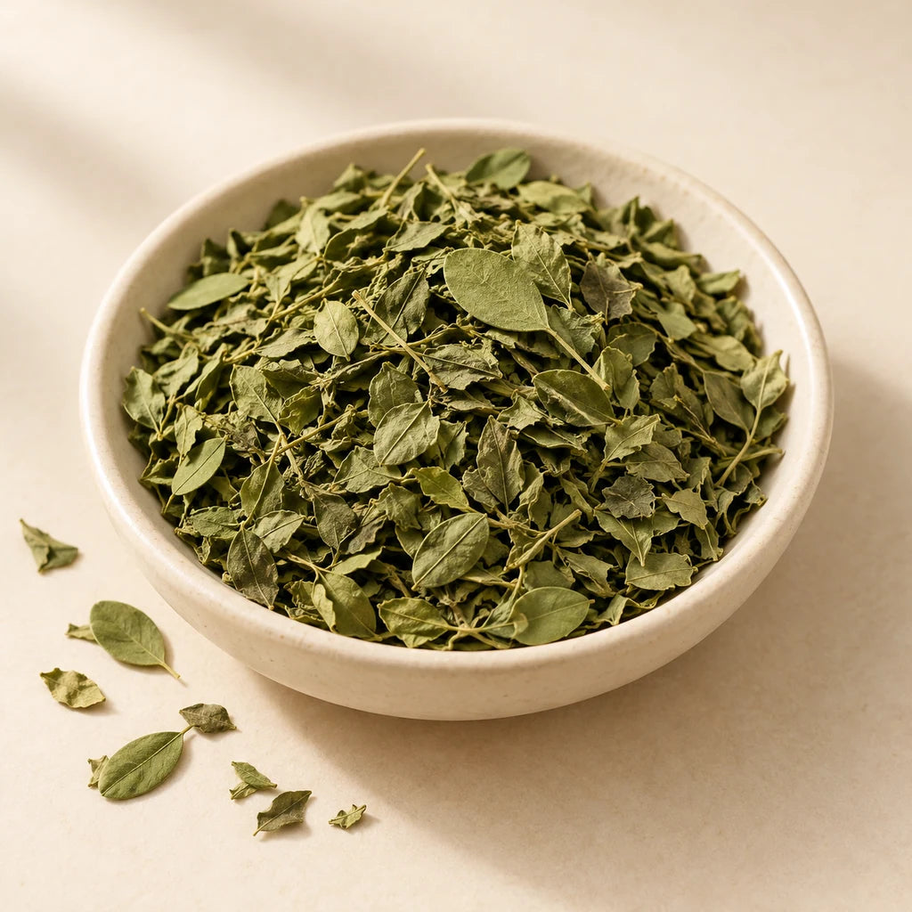 Moringa raw ingredient — illustrative catalogue image