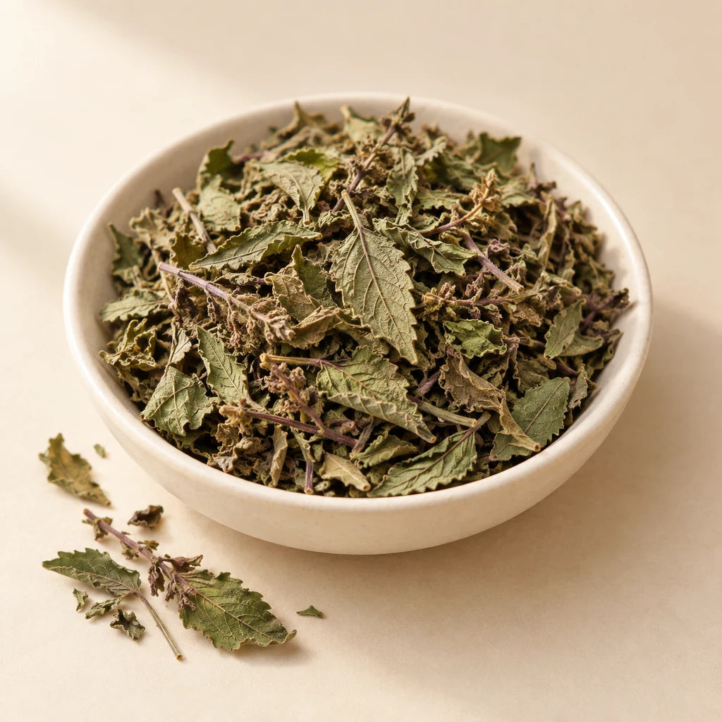 Tulsi raw ingredient — illustrative catalogue image